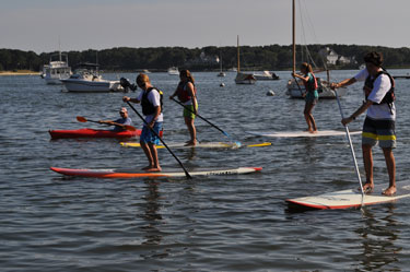 Paddle for the Bays