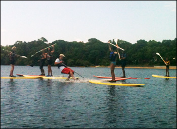 Family group doing stand up and paddle on Cape Cod.